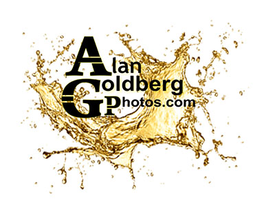 alan goldberg photos